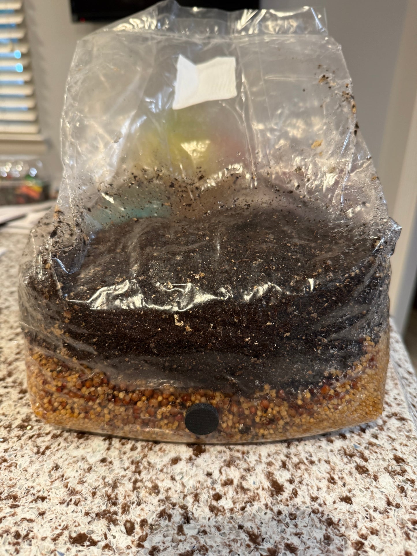 6lb Sub of the Godz All-In-One Bag
