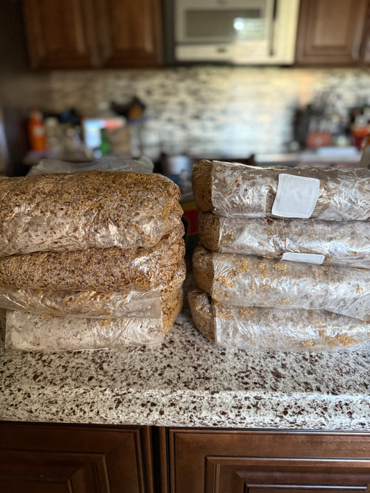 3lb Mixed Grain Spawn Bag w/ Inj Port