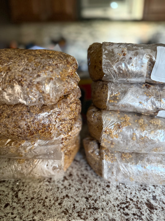 3lb Mixed Grain Spawn Bag w/ Inj Port