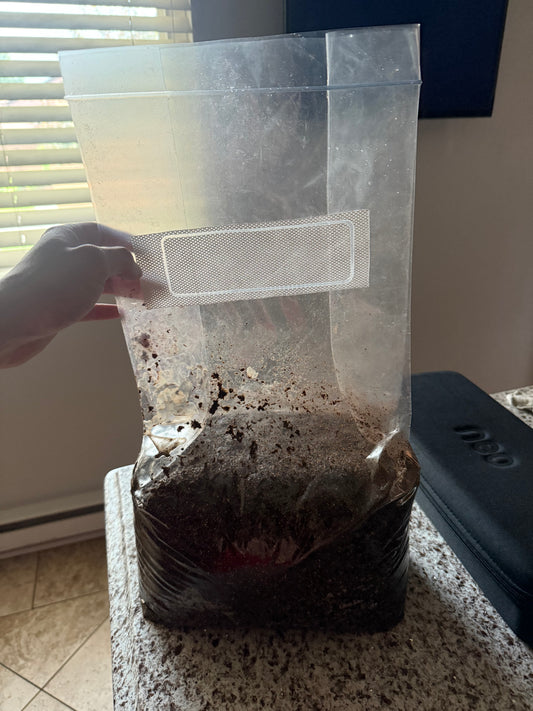 10lb Sub Of The Godz Grow Bag