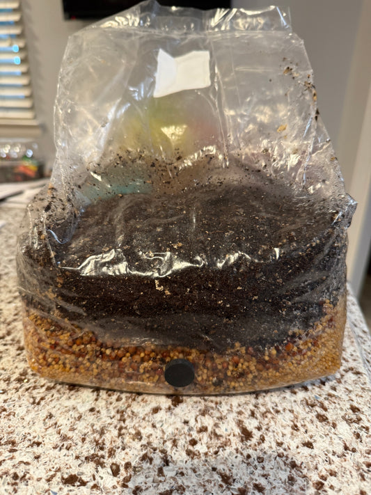 6lb Sub of the Godz All-In-One Bag