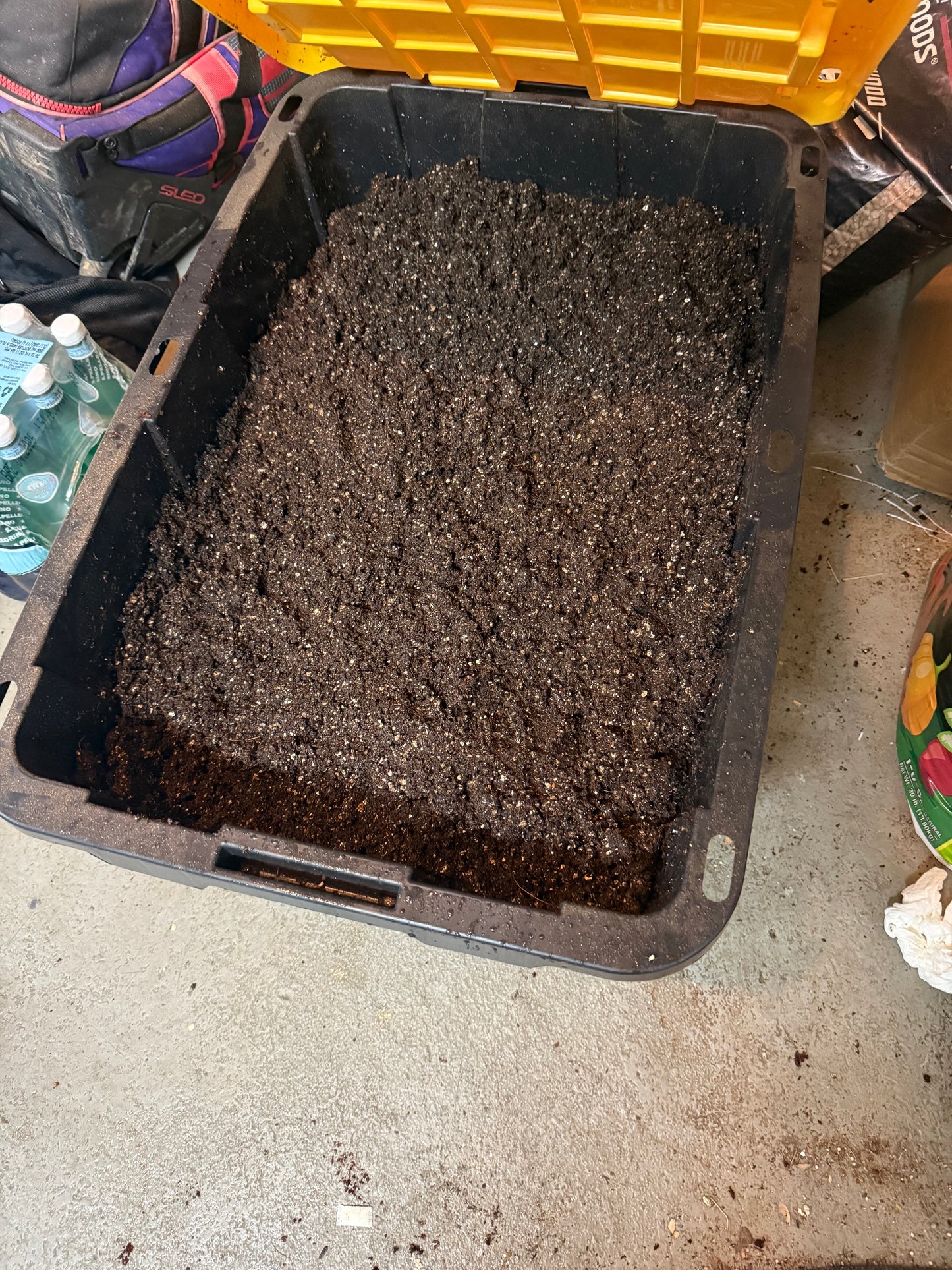 5lb Sub Of The Godz Grow Bag